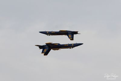 0K6A4142.jpg