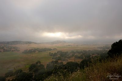 Foggy evening @Santa Ysabel CA