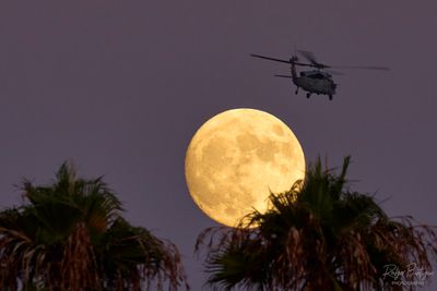 Blue Moon over the palm trees, and a helo flying by
