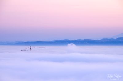 Tower cranes poking above the low clouds - Mt Soledad