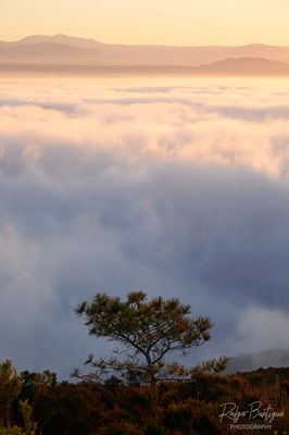 Cloud inversion at Mt. Soledad