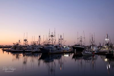 boats parked in the harbor