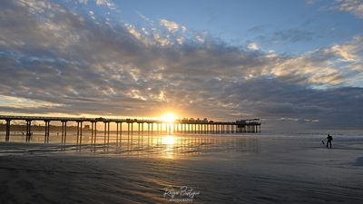 Scripps Pier