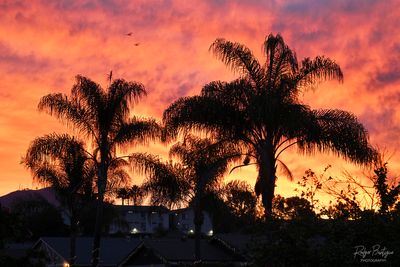 burning sky from my driveway