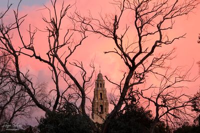 The California Tower against the pink clouds this evening