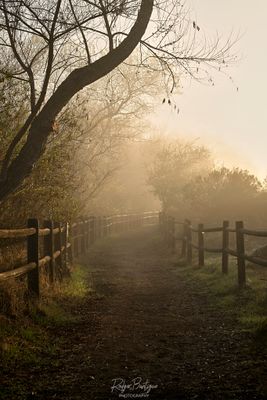 DSC_6352.jpg