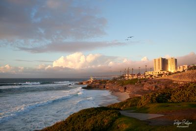 A break from the rains @ La Jolla