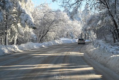 Sunrise Highway this morning