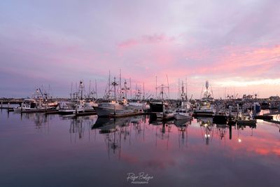 Tuna Harbor this evening