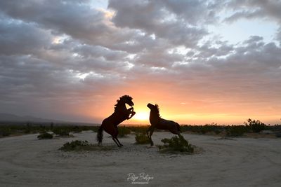 Morning glow on the Borrego Springs Horse sculptures II