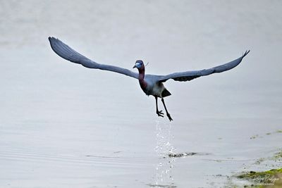 DSC_2255.jpg