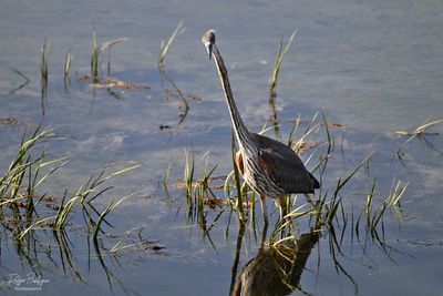 DSC_5479_01.jpg