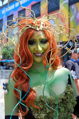 Comic Con 2024