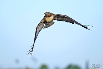 DSC_5180_2.jpg