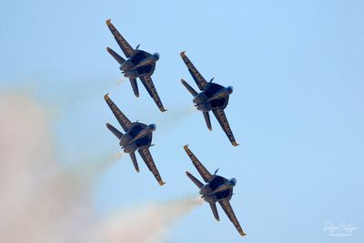0K6A7390.jpg