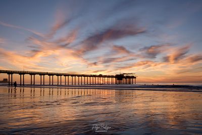DSCF8231 1.jpg