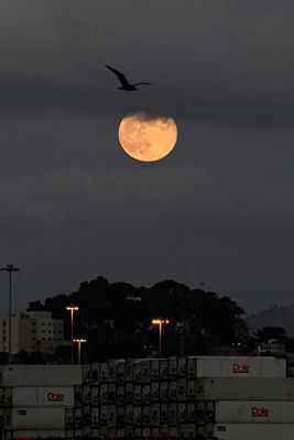 Beaver full moon peaking through the clouds over the Dole company shipping containers
