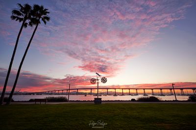 Good morning from Tideland's Park, Coronado