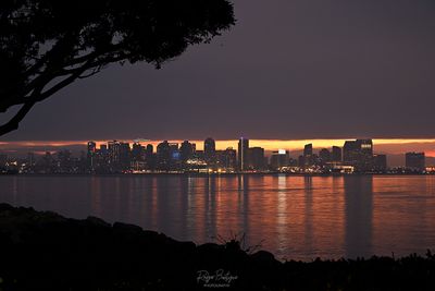 Downtown from Harbor Island