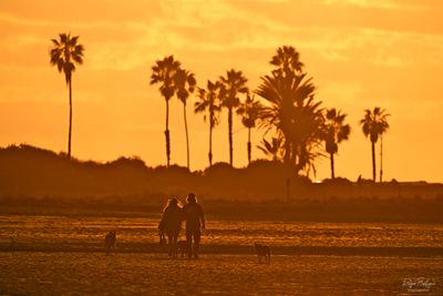 Walking the pooches at sunset