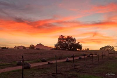 Ramona Grasslands