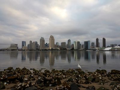 IMG_2547.jpg