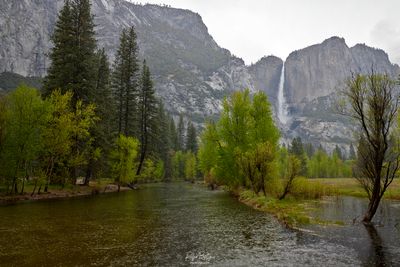 1Q0A0719 2-A.jpg