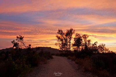 DSC_2319_1A.jpg