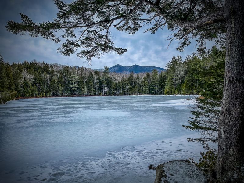 Owls Head