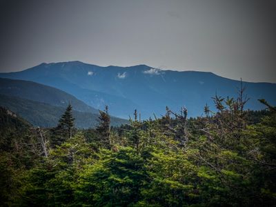 IMG_3022.jpeg