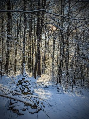 g13/02/5602/3/175220638.2c92f5bd.JPEG