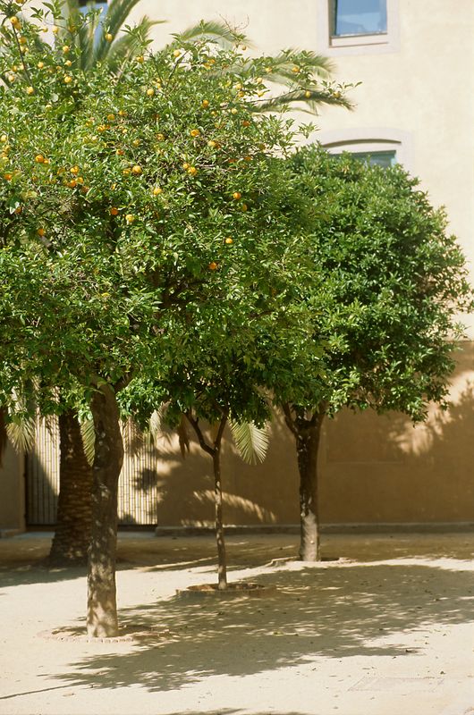 Barri gotic