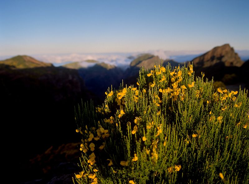 Pico do Aireiro to Pico Ruvio