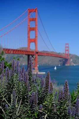 Golden Gate bridge