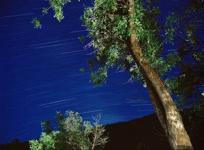 Star trails