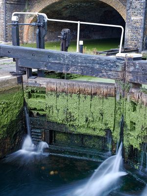 Canal lock, September 2023