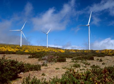 Wind power