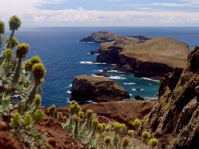 Madeira, 2024