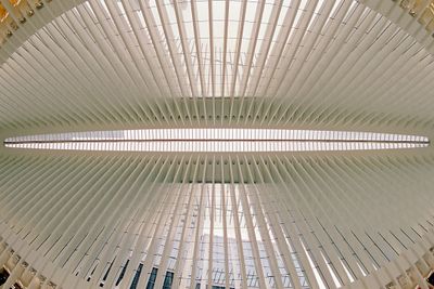 g13/02/605602/3/174793999.d7a1f4d2.JPEG