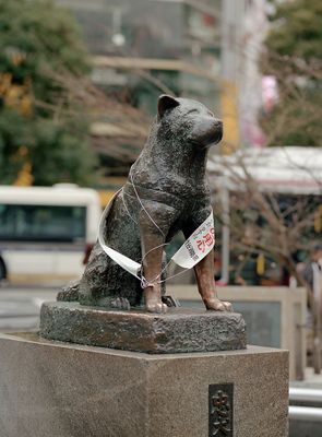 g13/02/605602/3/175280809.a72a0345.JPEG