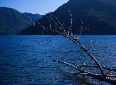 g13/02/605602/3/175715936.106e4442.JPEG