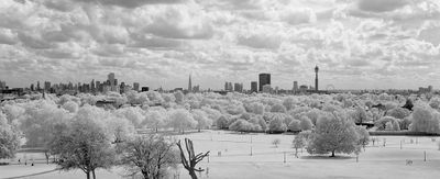 View from Primrose Hill, September 2025