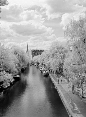 Regent's Canal, September 2025