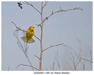 Recent Photos 2025
