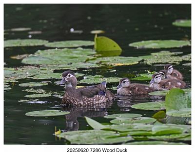 Recent Photos 2025