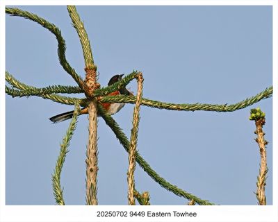 Recent Photos 2025