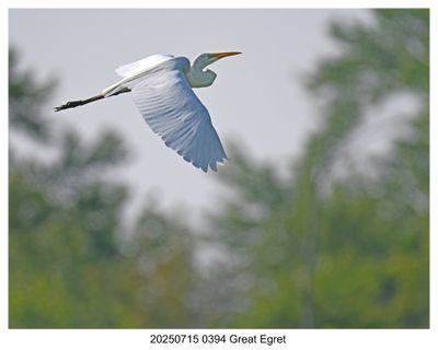 Recent Photos 2025