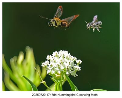 Recent Photos 2025