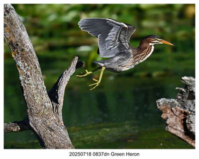 Recent Photos 2025