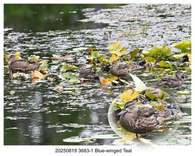 Recent Photos 2025